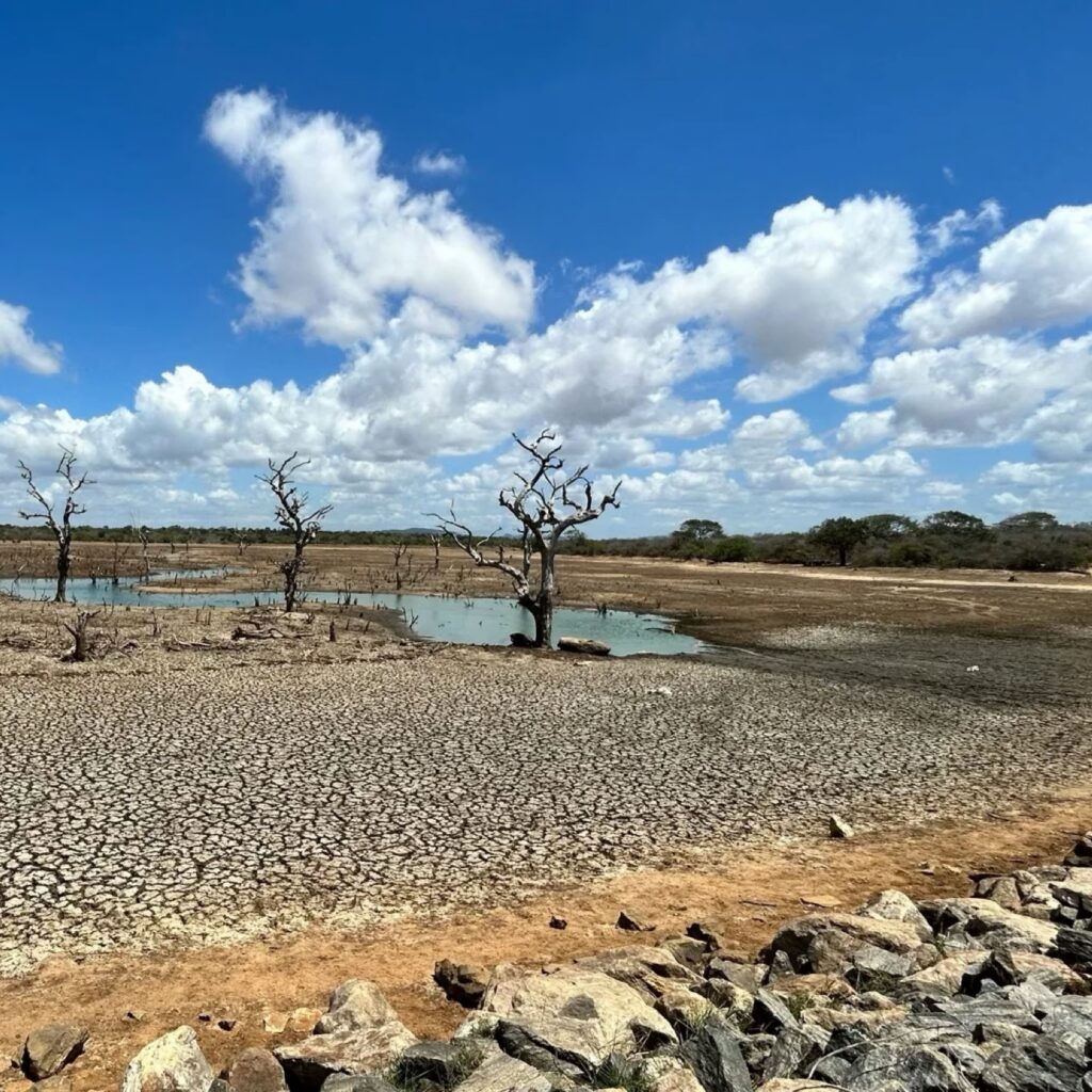 The Impact of Climate Change on Forced Migration in the Sahel: Human RightsPerspective (Nigeria as a Case Study)