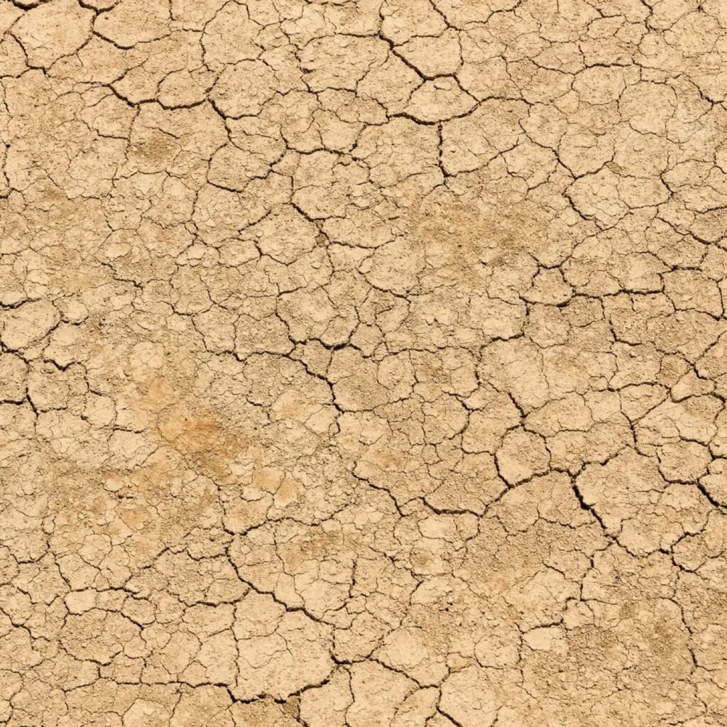 The Nexus Between Migration and Environmental Degradation Based on Fundamental Climate Variables and Extreme Climate Indices for the MENA Domain