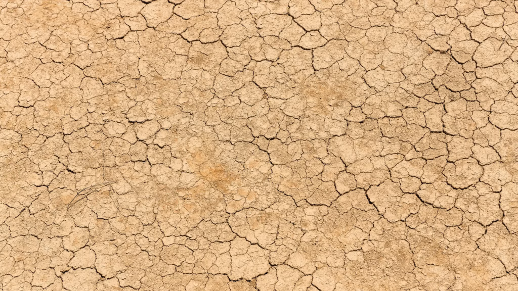 The Nexus Between Migration and Environmental Degradation Based on Fundamental Climate Variables and Extreme Climate Indices for the MENA Domain