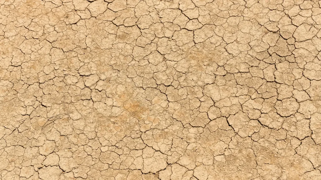 The Nexus Between Migration and Environmental Degradation Based on Fundamental Climate Variables and Extreme Climate Indices for the MENA Domain