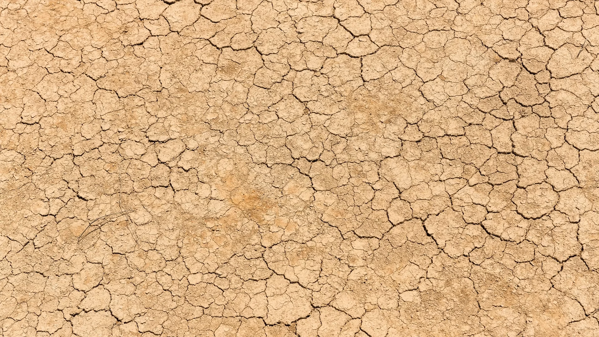 The Nexus Between Migration and Environmental Degradation Based on Fundamental Climate Variables and Extreme Climate Indices for the MENA Domain