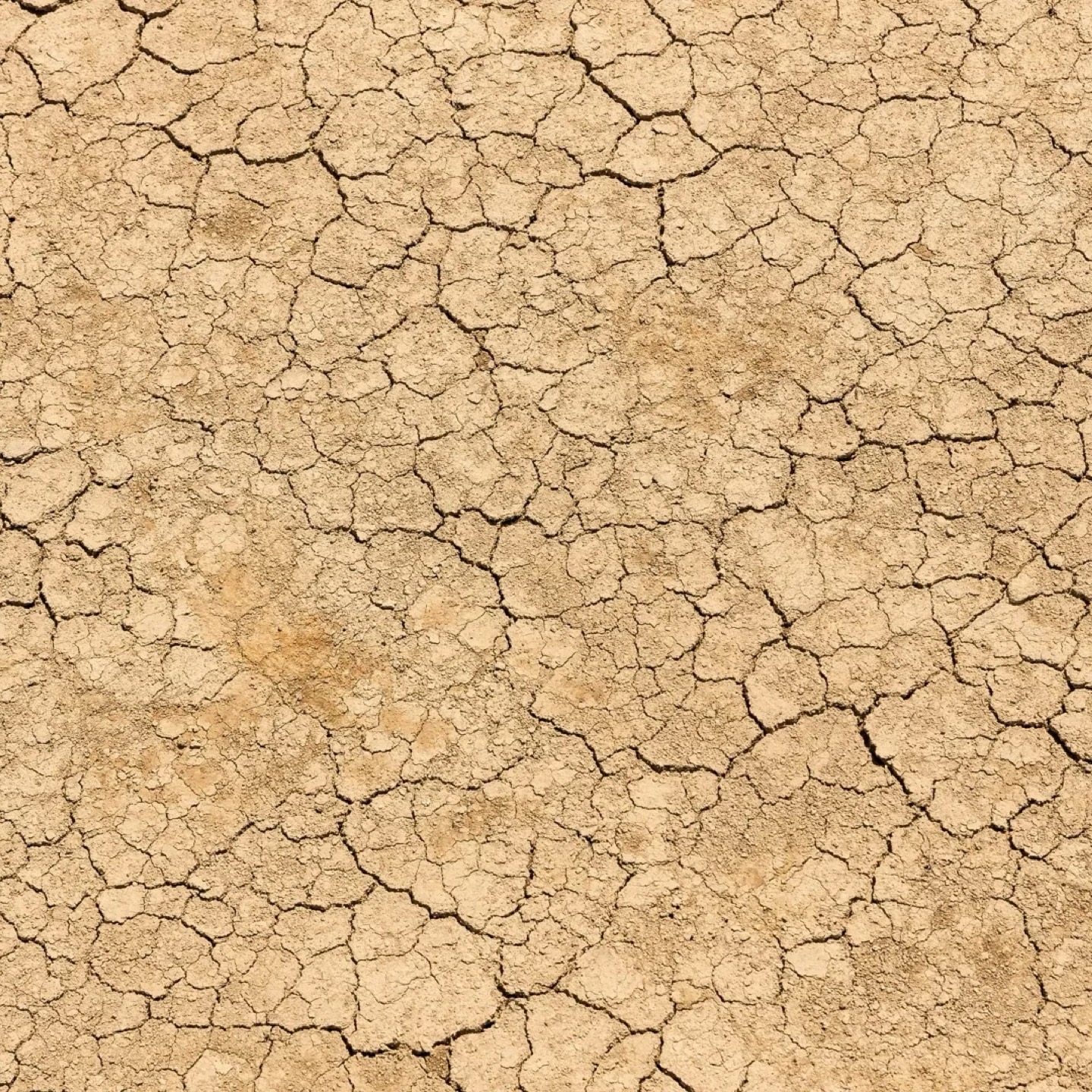 The Nexus Between Migration and Environmental Degradation Based on Fundamental Climate Variables and Extreme Climate Indices for the MENA Domain