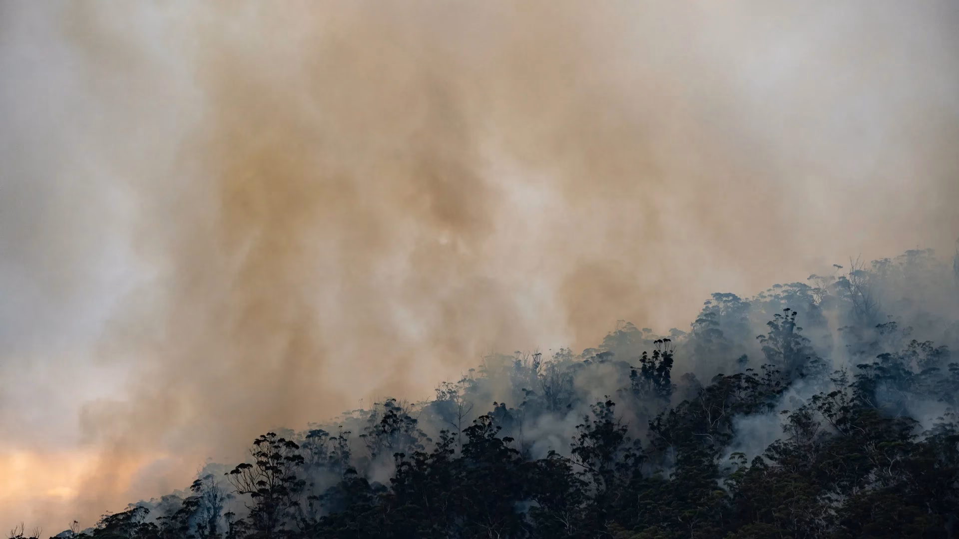 Climate Change, Migration, and Civil Strife