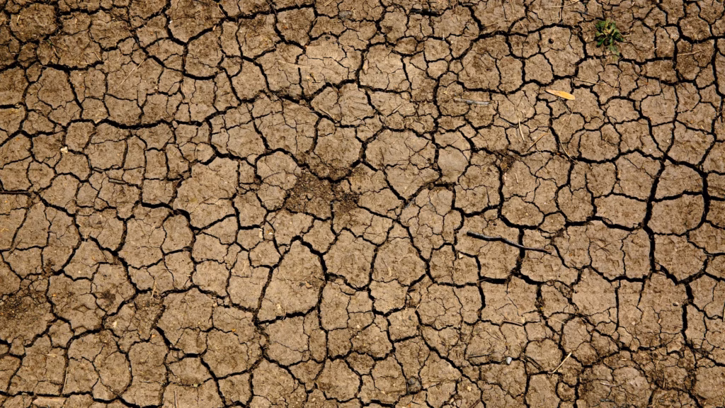Climate-Induced Migration and Climate Immobility in Ghana: A Socio-Ecological Mixed Method Study
