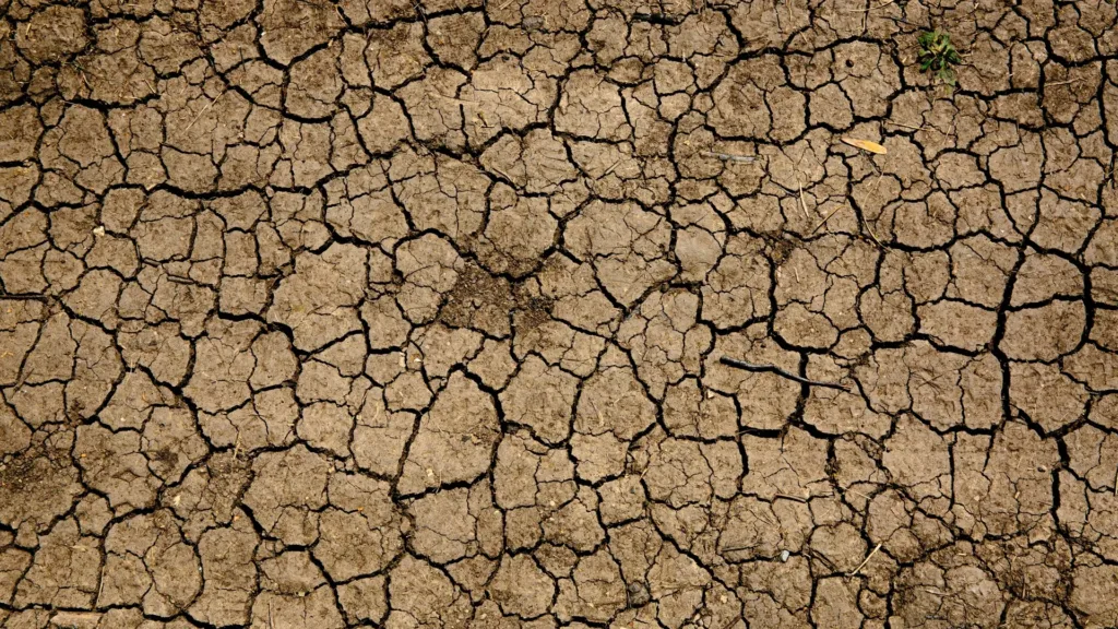 Climate-Induced Migration and Climate Immobility in Ghana: A Socio-Ecological Mixed Method Study