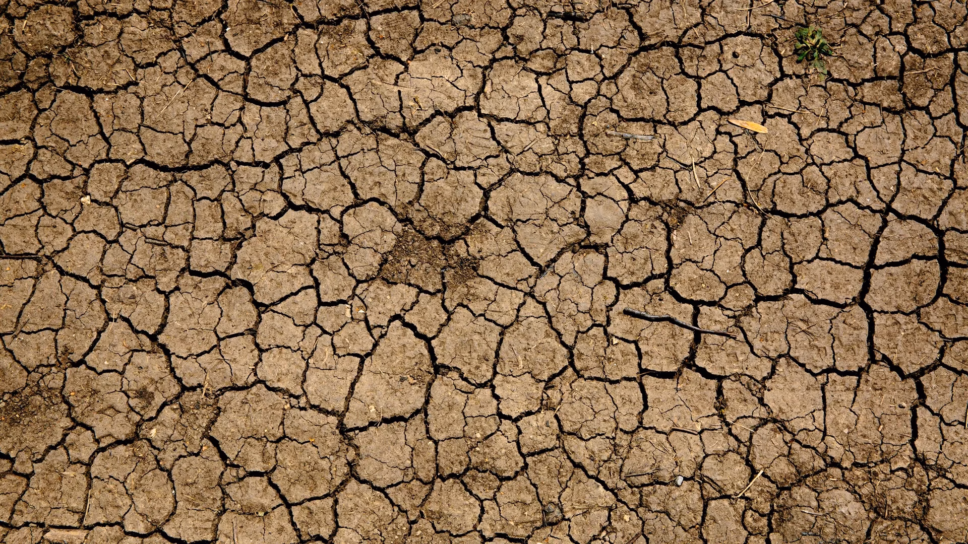 Climate-Induced Migration and Climate Immobility in Ghana: A Socio-Ecological Mixed Method Study