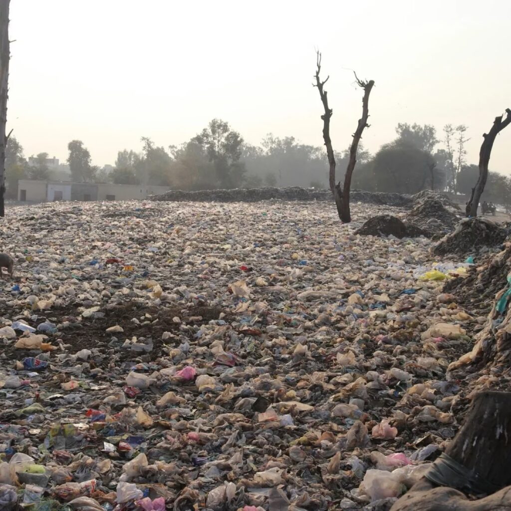 Drought and Aridity Influence Internal Migration Worldwide