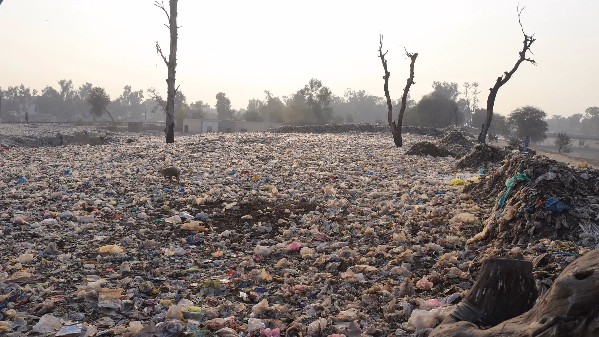Drought and Aridity Influence Internal Migration Worldwide