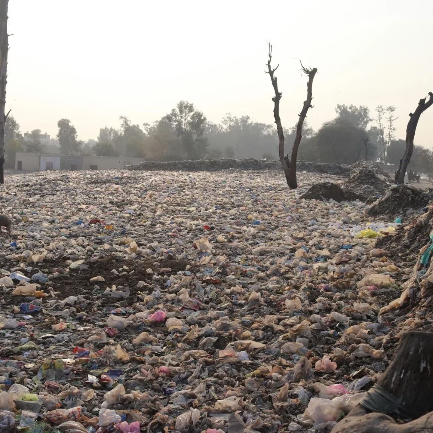 Drought and Aridity Influence Internal Migration Worldwide