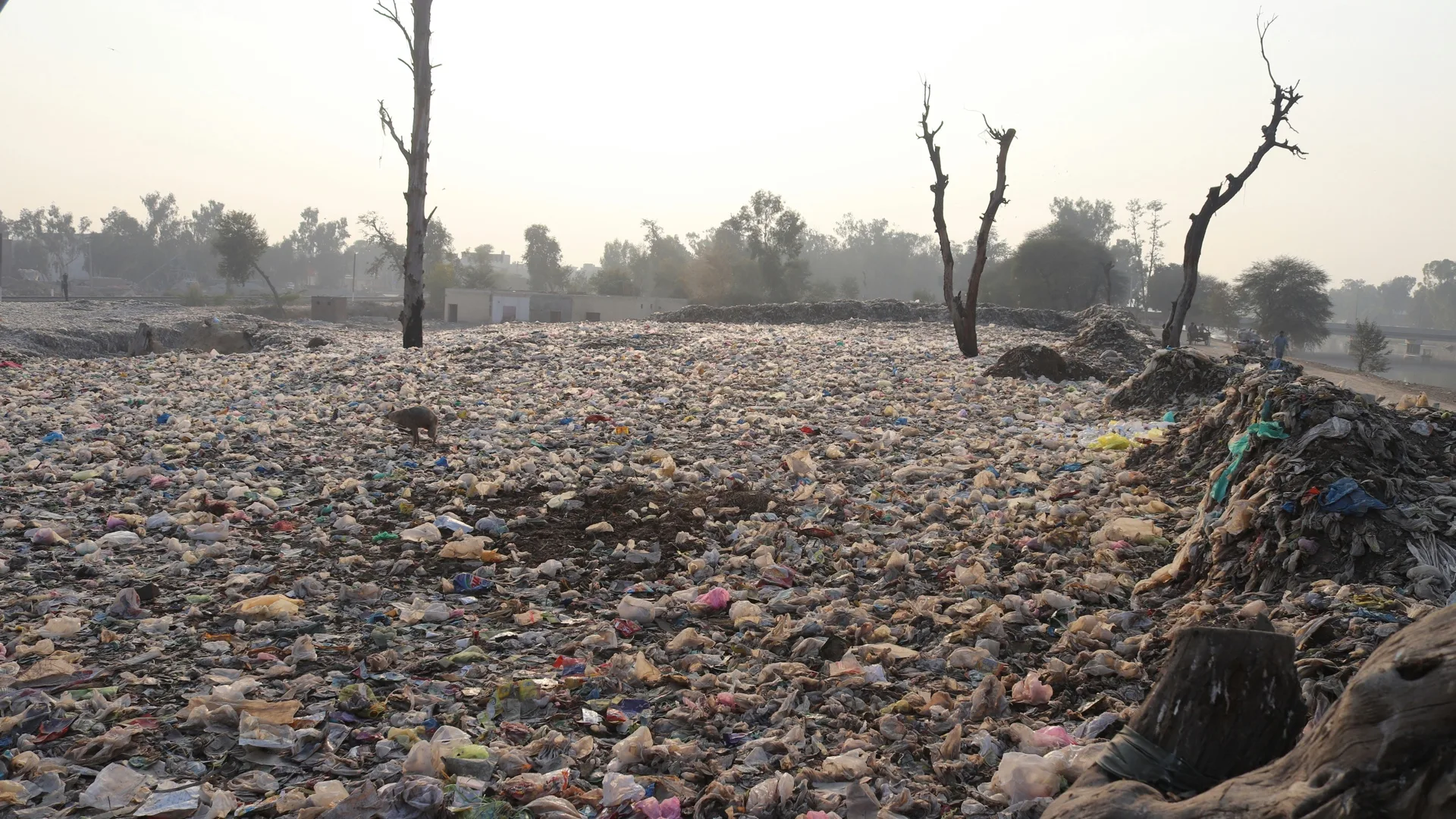 Drought and Aridity Influence Internal Migration Worldwide