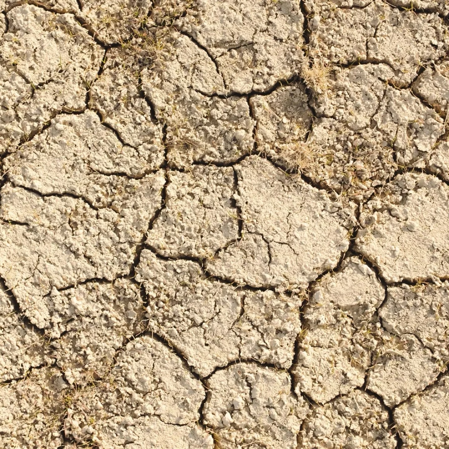 Climate-Induced Migration and Climate Immobility in Ghana: A Socio-Ecological Mixed Method Study